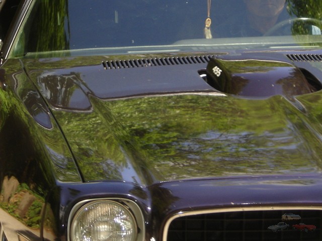 Corvette Sunday 119.jpg